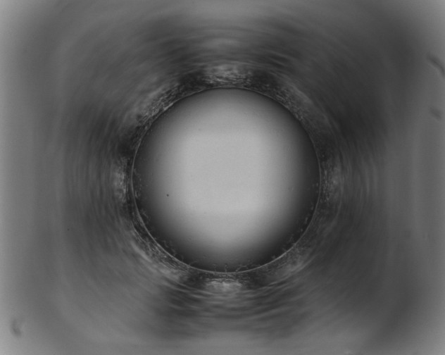 X0000103430749200809121329