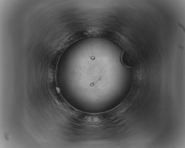X0000103430751200809121329