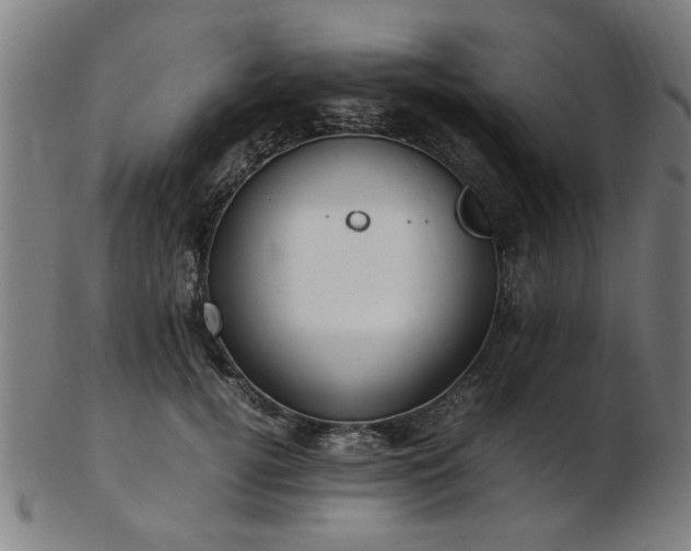 X0000103430752200809121329