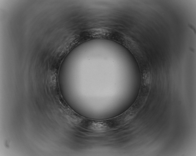 X0000103430753200809121329