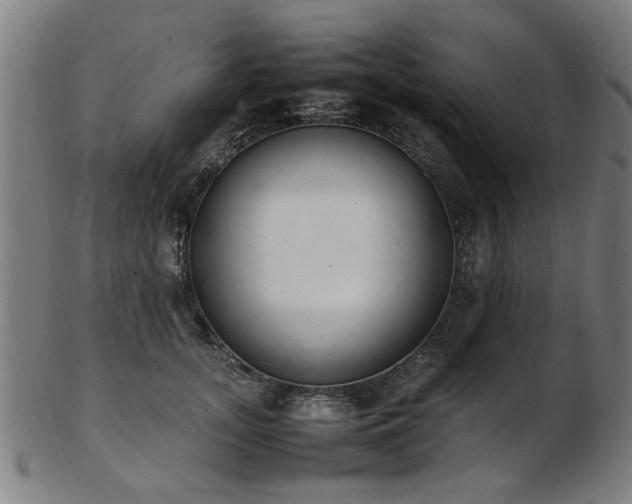 X0000103430755200809121329