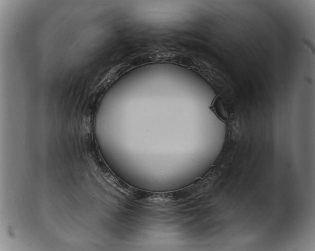 X0000103430756200809121329