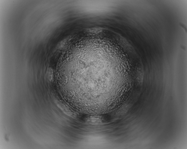 X0000103430758200809121329