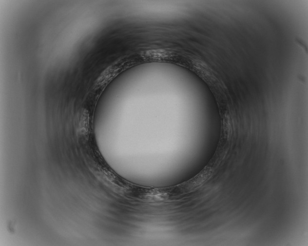 X0000103430760200809121329