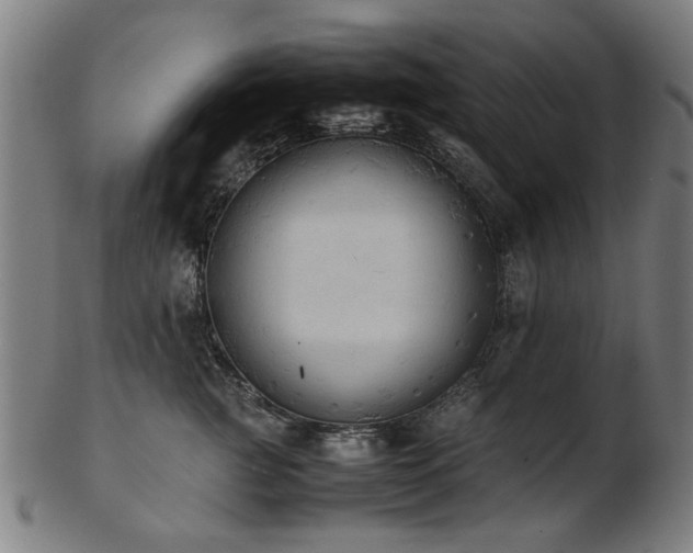 X0000103430761200809121329