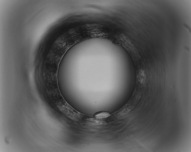 X0000103430763200809121329