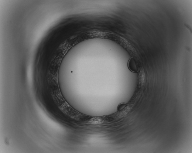 X0000103430764200809121329