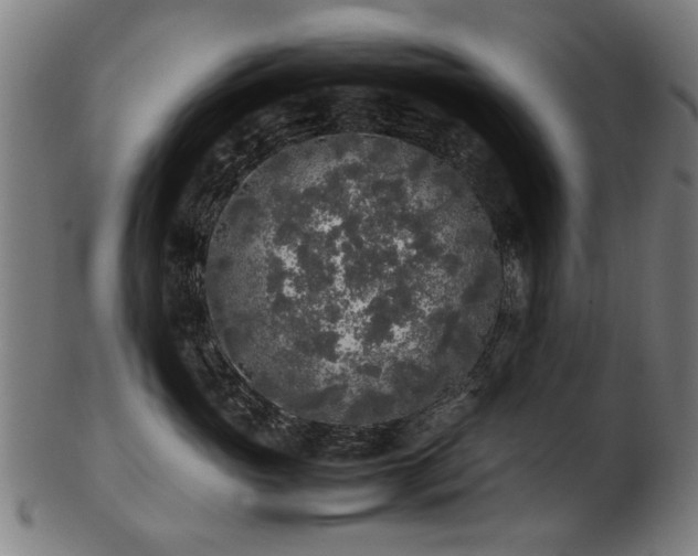 X0000103430765200809121330
