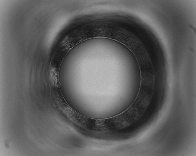 X0000103430766200809121330