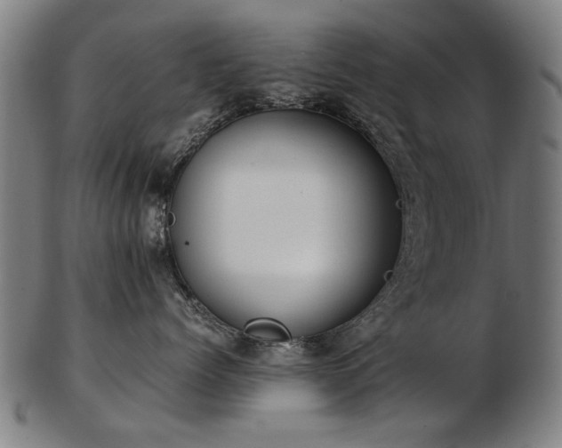 X0000103430768200809121330