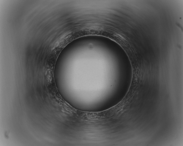 X0000103430774200809121328