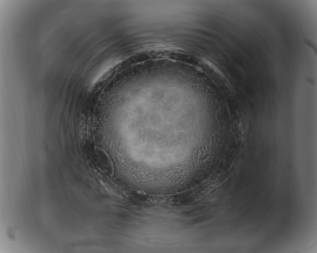 X0000103430775200809121328