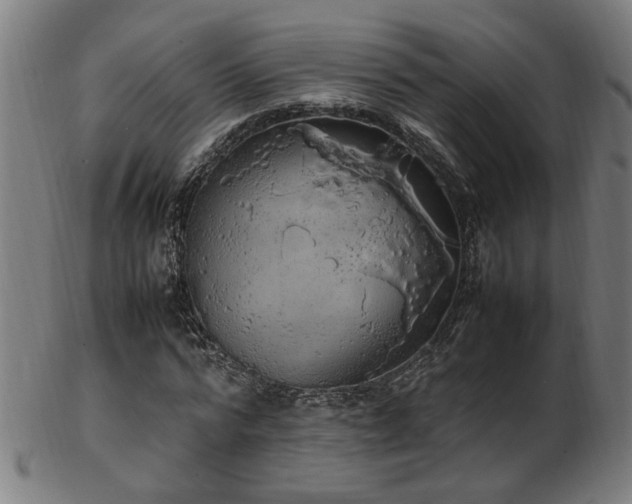 X0000103430776200809121328