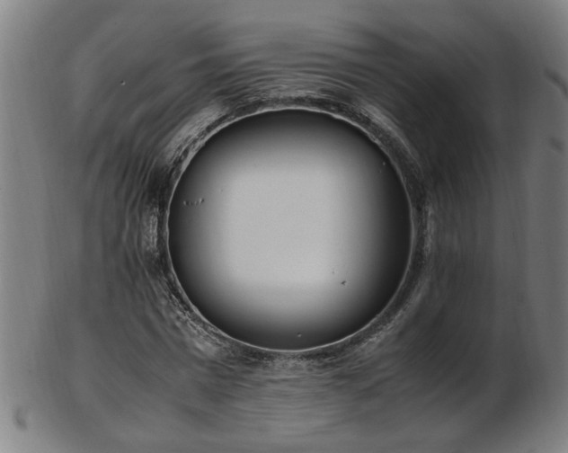 X0000103430777200809121328