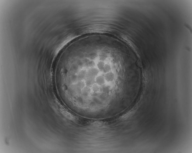 X0000103430779200809121328