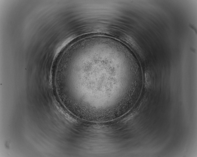X0000103430780200809121328