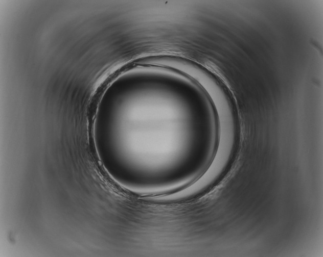 X0000103430781200809121328