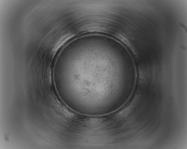 X0000103430782200809121328