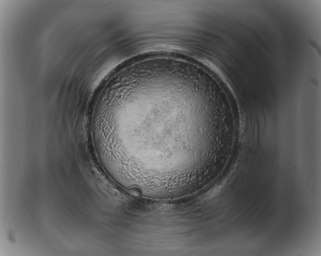 X0000103430783200809121328