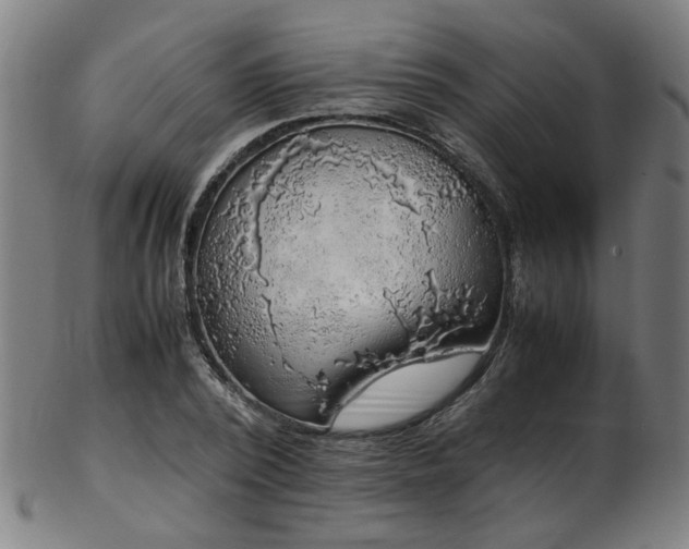 X0000103430784200809121328