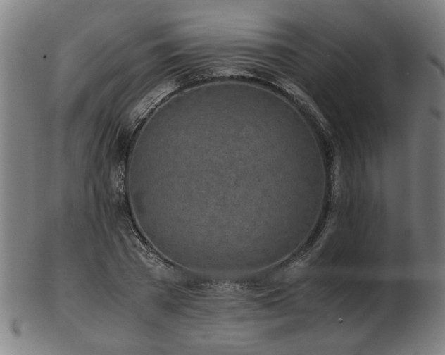 X0000103430785200809121328