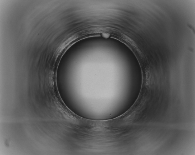X0000103430786200809121328