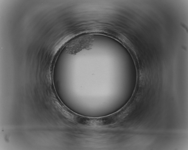 X0000103430789200809121328
