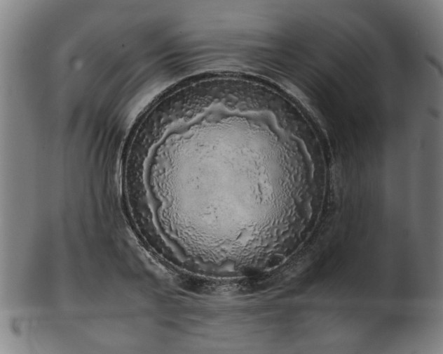 X0000103430791200809121328