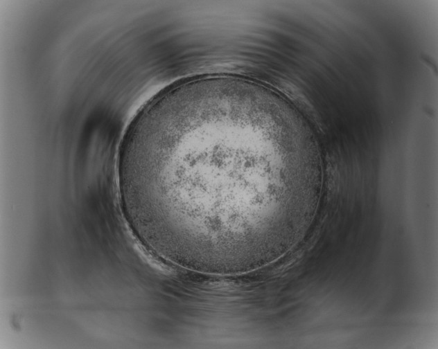 X0000103430792200809121328