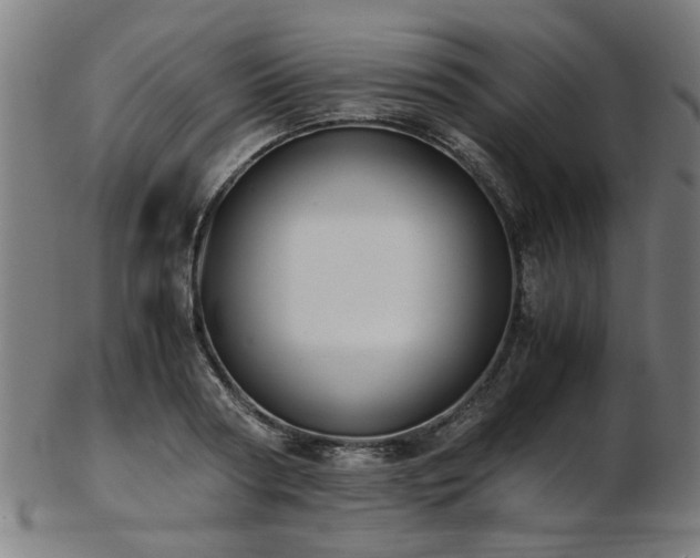 X0000103430794200809121328