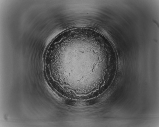 X0000103430795200809121328