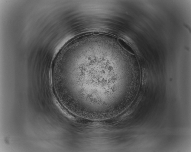 X0000103430796200809121328