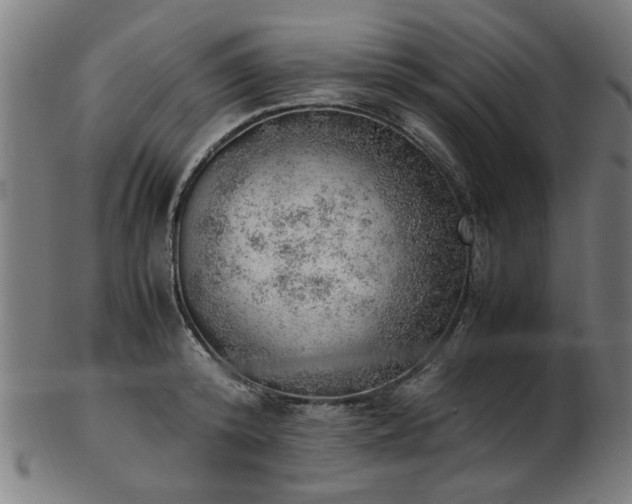 X0000103430800200809121328