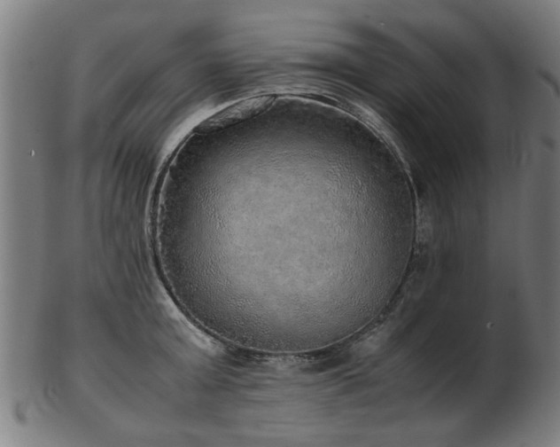 X0000103430803200809121328
