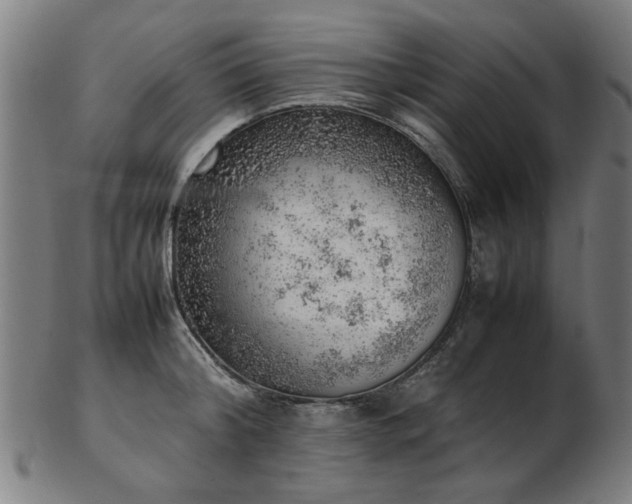 X0000103430804200809121328