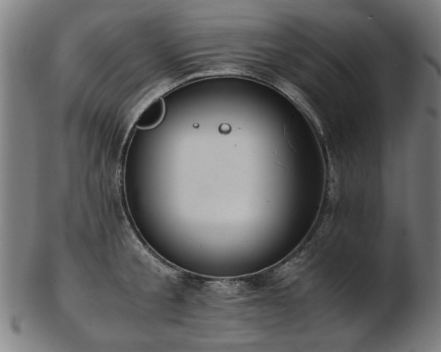 X0000103430805200809121328