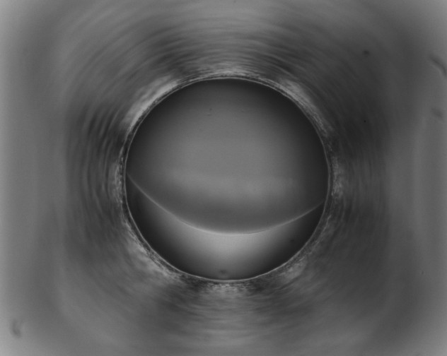 X0000103430806200809121328
