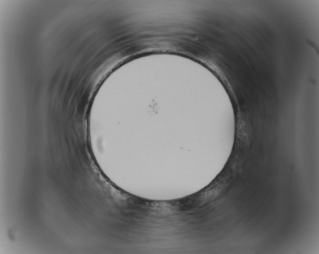 X0000103430807200809121328