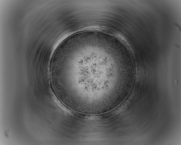 X0000103430808200809121328