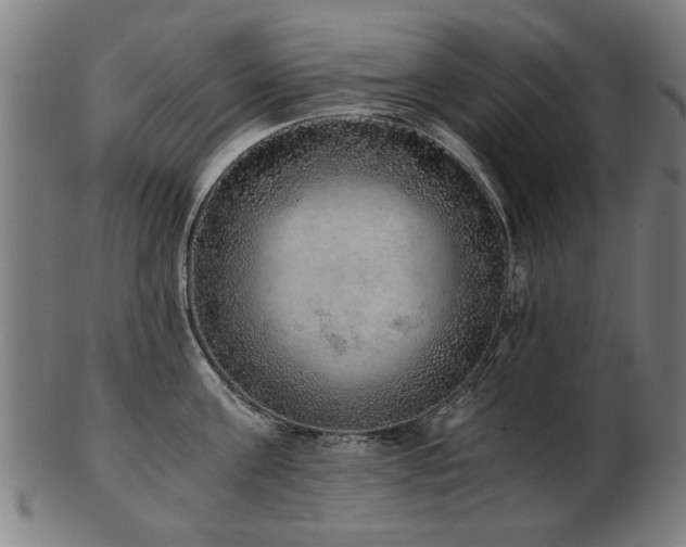 X0000103430811200809121328