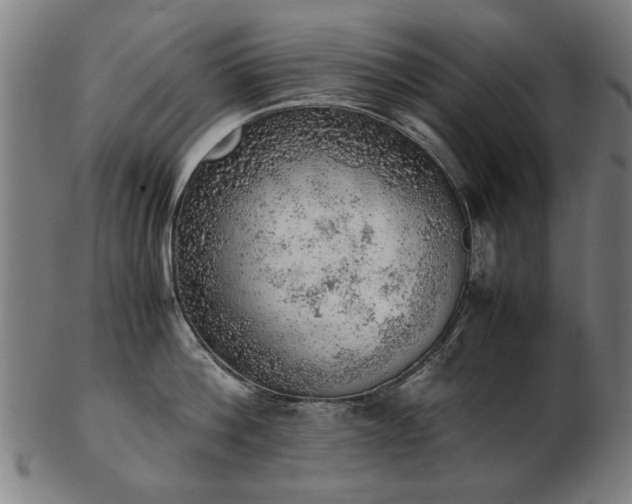 X0000103430812200809121328