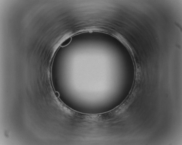 X0000103430813200809121328