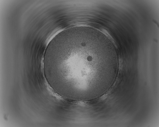 X0000103430814200809121328