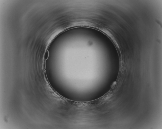 X0000103430815200809121328
