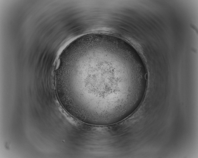 X0000103430816200809121328