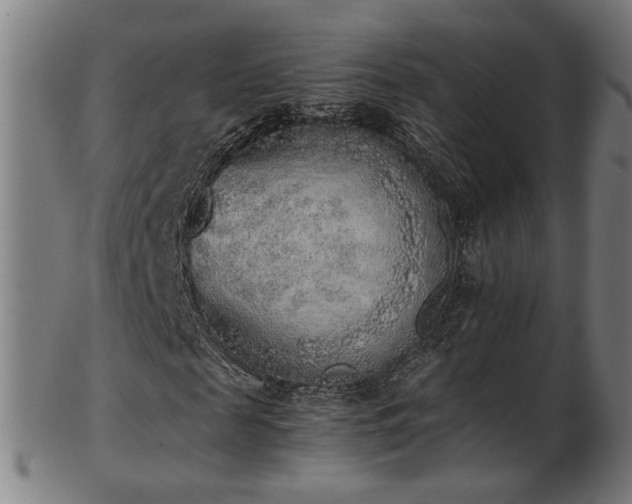 X0000103430817200809121327