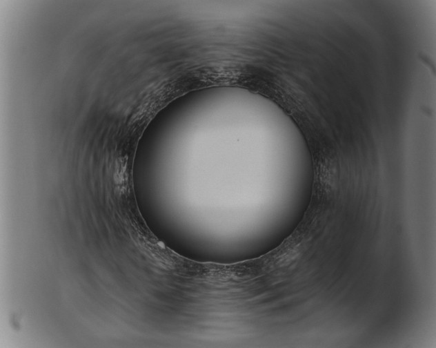 X0000103430818200809121327