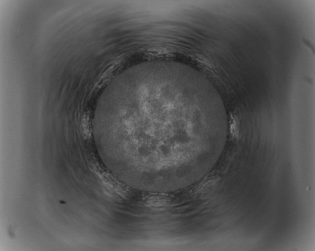 X0000103430819200809121327