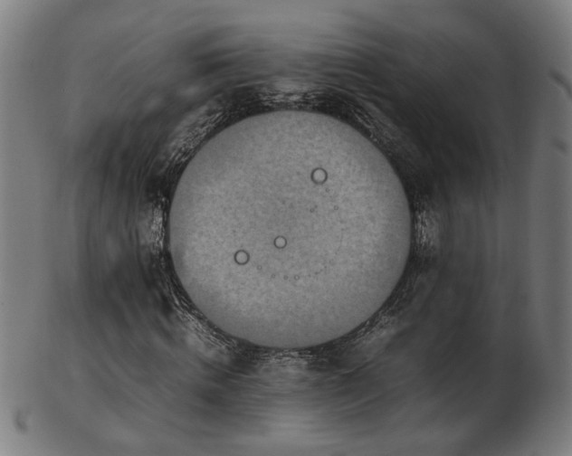 X0000103430820200809121327