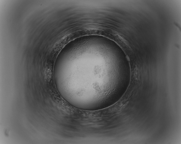 X0000103430821200809121327